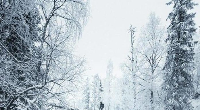 Inspiration : Oulangan Kansallispuisto. Photo: @dansmoe …