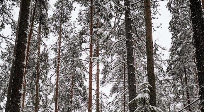 Inspiration : Photo: @igorbosworth #nature #landscape #scenery #explore …