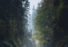 Inspiration : Hrensko. Photo: @tom_juenemann #hrensko #nature #landscape …..