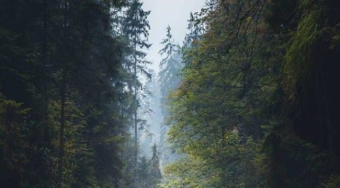 Inspiration : Hrensko. Photo: @tom_juenemann #hrensko #nature #landscape …..