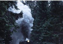 Inspiration : Parc national du Harz. Photo: @ dnl_jst_91 #harznationalpark #na …