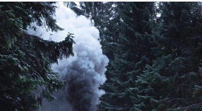 Inspiration : Parc national du Harz. Photo: @ dnl_jst_91 #harznationalpark #na …