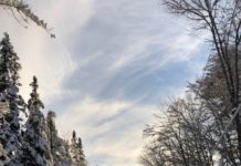 Inspiration : Chittenden, Vermont