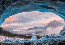 Inspiration : Une discussion dynamique sur la vie du photographe, le changement climatique …