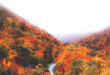 Inspiration : lsleofskye:
La route panoramique
| j_kreiss
Lieu: Brist …