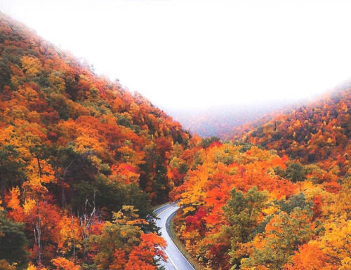 Inspiration : lsleofskye:
La route panoramique
| j_kreiss
Lieu: Brist …