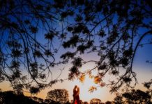 Inspiration : https://shubhdiamondtools.xyz/