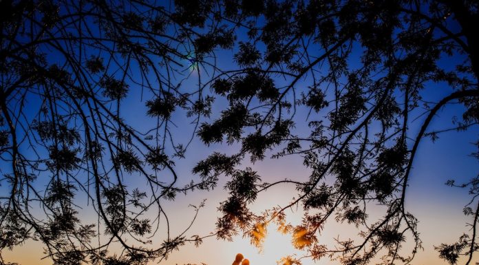 Inspiration : https://shubhdiamondtools.xyz/