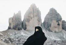 Inspiration : Tre Cime di Lavaredo. Photo: @pbsve #nature #trecimedilavare …