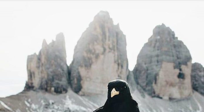 Inspiration : Tre Cime di Lavaredo. Photo: @pbsve #nature #trecimedilavare …