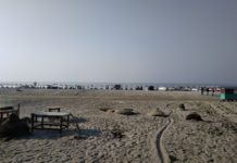 Inspiration : Hêtre de mer de Kuyakata, Bangladesh.