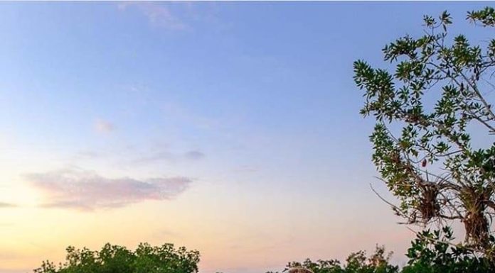 Inspiration : Photo: @idletheorybus #nature #landscape #scenery #explore …..