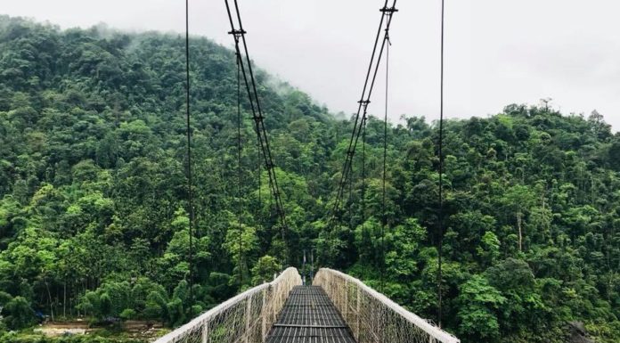 Inspiration : M é g a g e D i a r y _ 2 k 1 8
Dans la deuxième semaine de …