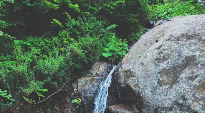 Inspiration : Bursa UludağEAX-16