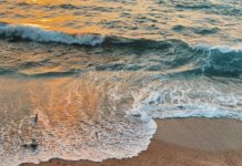 Inspiration : Odessa, Ukraine