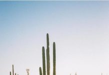 Inspiration : Photo: @jamesbarkman #nature #landscape #scenery #explore …