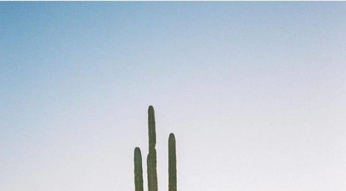 Inspiration : Photo: @jamesbarkman #nature #landscape #scenery #explore …