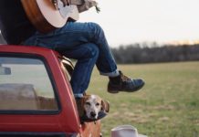 Inspiration : Photo: thisiswildidea