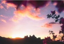 Inspiration : Îles Marquises. Photo: @ erubes1 #marquesasislands #nature …