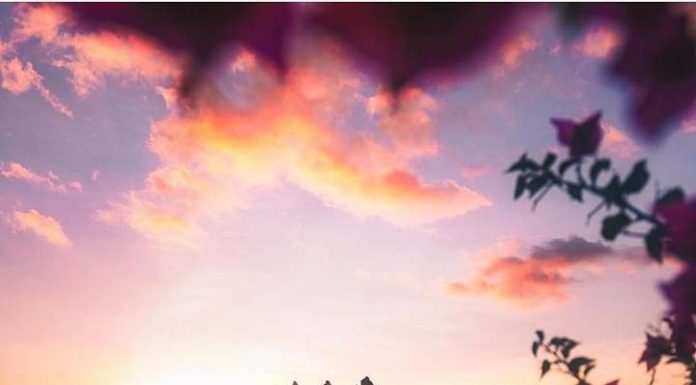 Inspiration : Îles Marquises. Photo: @ erubes1 #marquesasislands #nature …