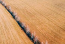 Inspiration : Ukraine