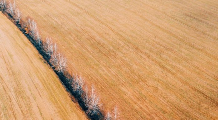 Inspiration : Ukraine