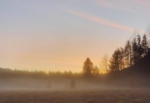 Inspiration : Randle, Washington