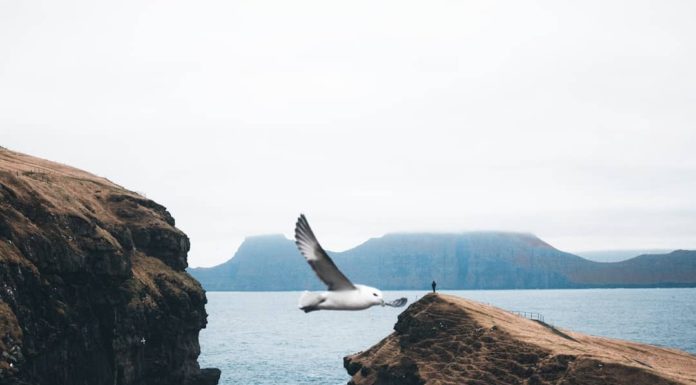 Inspiration : Îles Féroé