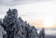 Inspiration : Kandel. Photo: @lorisjochum #kandel #nature #landscape #scen …