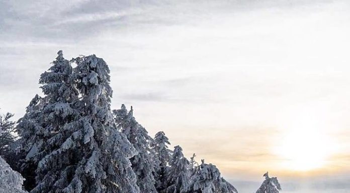 Inspiration : Kandel. Photo: @lorisjochum #kandel #nature #landscape #scen …