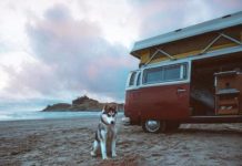 Inspiration : Côte de l'Oregon. Photo: @braedin #nature #landscape #scenery …