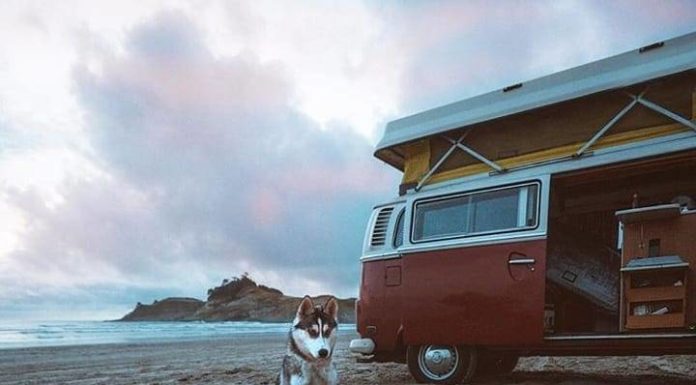 Inspiration : Côte de l'Oregon. Photo: @braedin #nature #landscape #scenery …