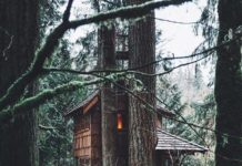 Inspiration : Washington. Photo: @theolator #nature #landscape #scenery …