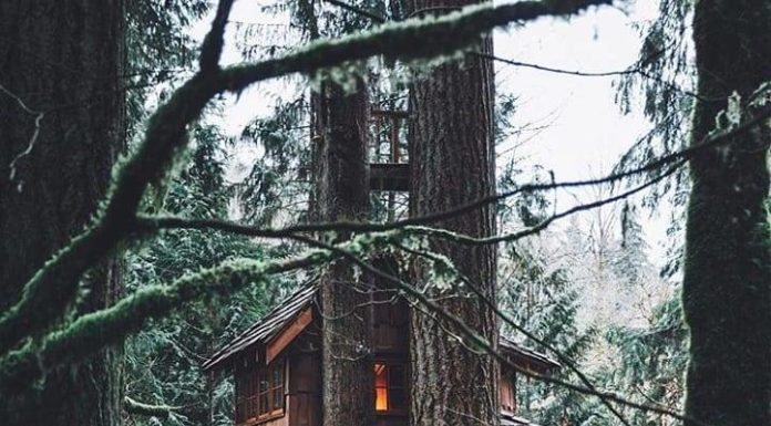 Inspiration : Washington. Photo: @theolator #nature #landscape #scenery …