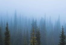 Inspiration : Photo: @nathanaelbillings #nature #landscape #scenery #explo …