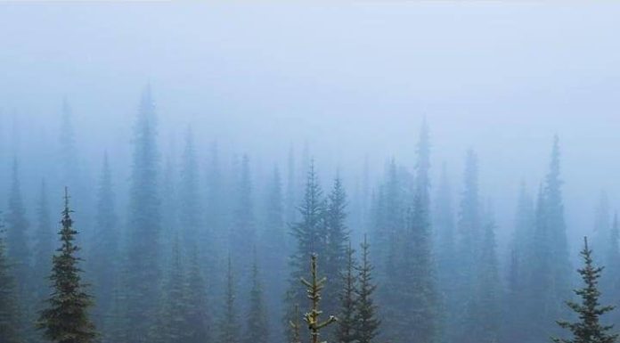 Inspiration : Photo: @nathanaelbillings #nature #landscape #scenery #explo …