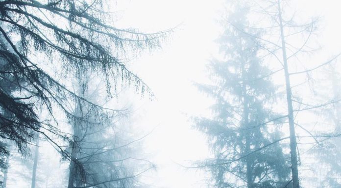 Inspiration : Snake Pass