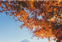 Inspiration : Mont Fuji. Photo: @samalive #wanderlog …