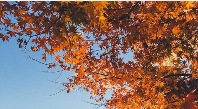 Inspiration : Mont Fuji. Photo: @samalive #wanderlog …