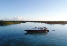 Inspiration : C'est un voilier qui fait rêver les voiliers …