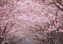 Inspiration : Vancouver, Colombie-Britannique. Photo: @rachelbarkman #wanderlo …