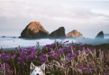 Inspiration : Photo: @dllln #wanderlog …