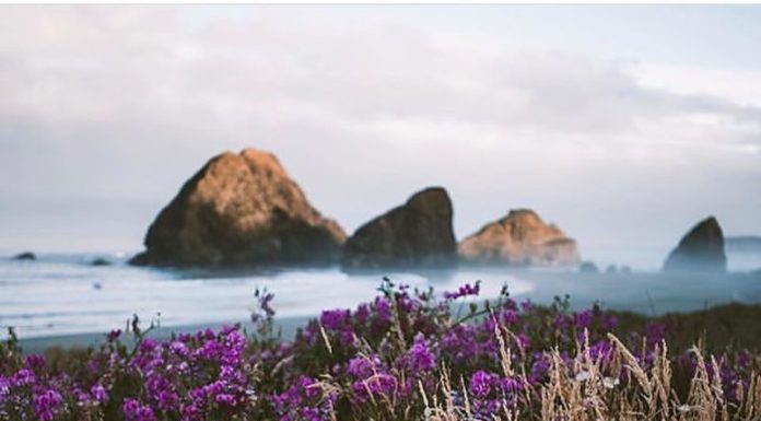 Inspiration : Photo: @dllln #wanderlog …