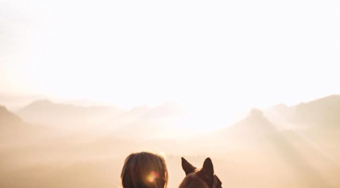 Inspiration : Sächsische Schweiz (Elbsandsteingebirge)