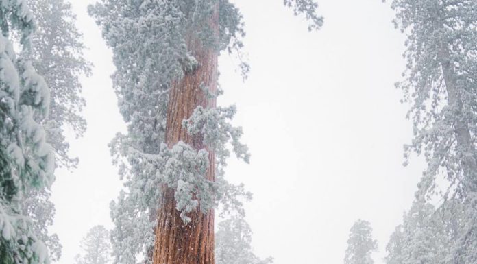 Inspiration : Sierra Nevada