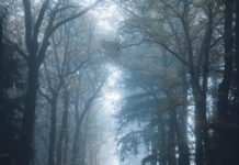 Inspiration : République Tchèque