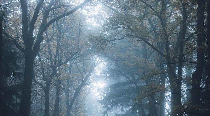 Inspiration : République Tchèque