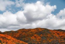 Inspiration : Californie