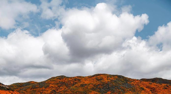 Inspiration : Californie