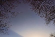 Inspiration : Shizuoka, Shizuoka